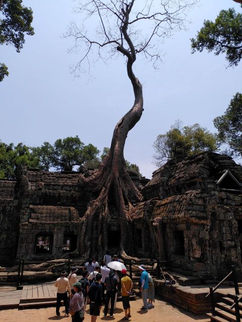 Prasat Ta Prohm